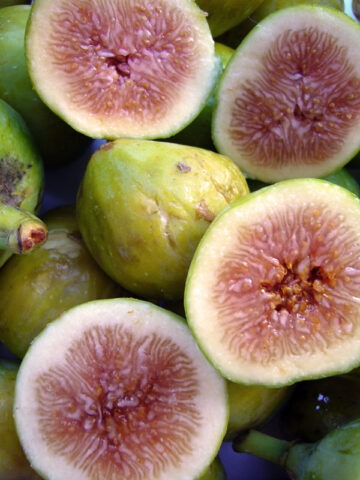 Lg. Desert King Fig Tree (ficus carica)