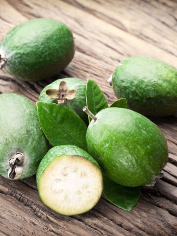 Pineapple Guava Tree (feijoa sellowiana) - Image 5
