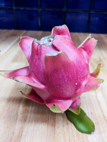 Alternative view of Lite Pink Dragon Fruit Cactus (hylocereus polyrhizus)