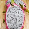 Maui Dragon Fruit Cactus (hylocereus undetus)
