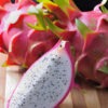 White Dragon Fruit Cactus (hylocereus undetus)