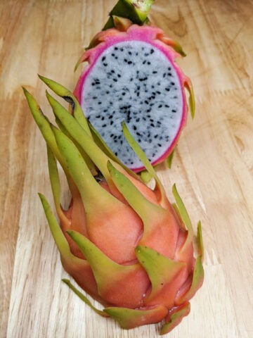 Hawaiian Yellow Squid Dragon Fruit Cactus (hylocereus undetus)