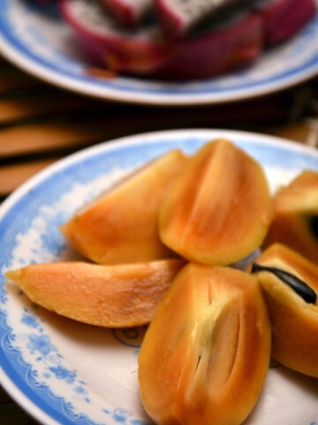 Alternative view of Lg. Sapodilla Fruit Tree (manilkara zapota)
