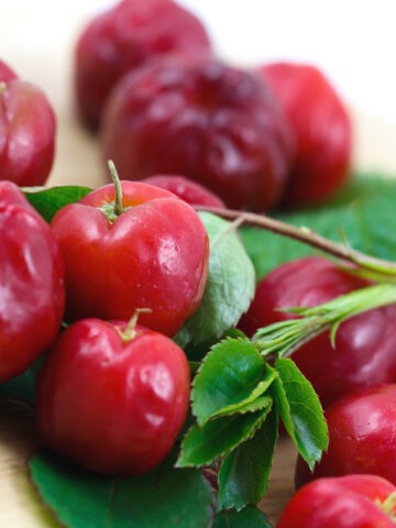 Alternative view of Lg. Acerola Cherry Tree (malpighia glabra)
