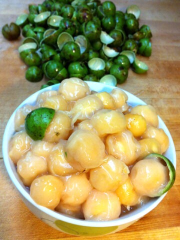 Lg. Spanish Lime Fruit Tree (melicoccus bijugatus)