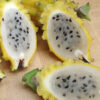 Sweet Yellow Dragon Fruit Cactus (selenicereus megalanthus)