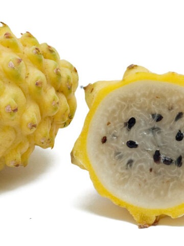 Alternative view of Sweet Yellow Dragon Fruit Cactus (selenicereus megalanthus)