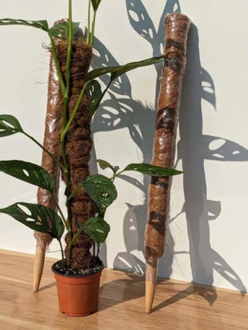 Alternative view of 2 Stackable Coco Grow Poles 23 (inches tall)
